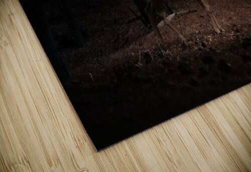 Dear deer Marco Italiani puzzle