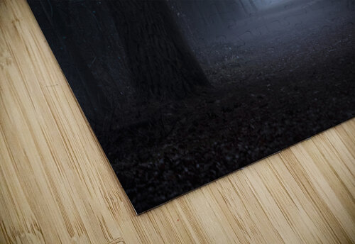 Dark Woods Marco Italiani puzzle