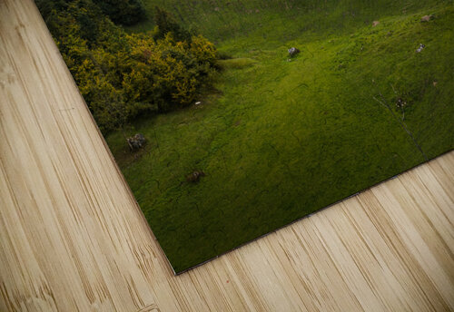 Moody Greens Marco Italiani puzzle