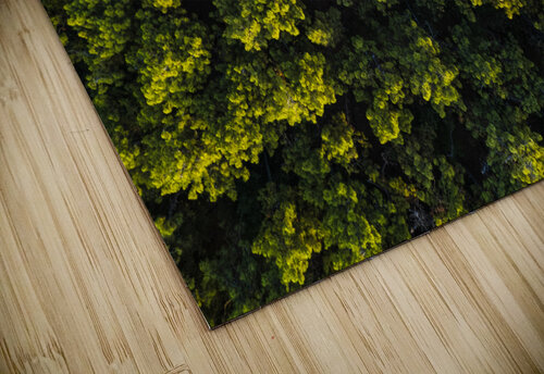 Greens Marco Italiani puzzle