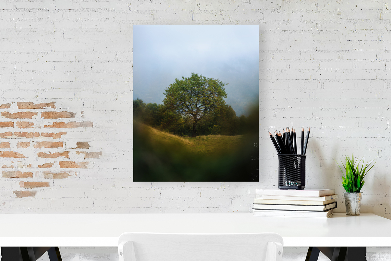 Natural frames Reproduction