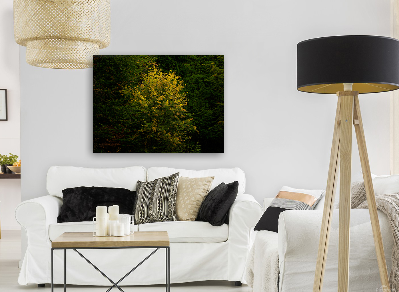 Yellow Touch Reproduction