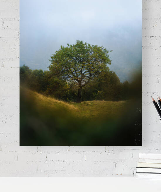 Natural frames Reproduction