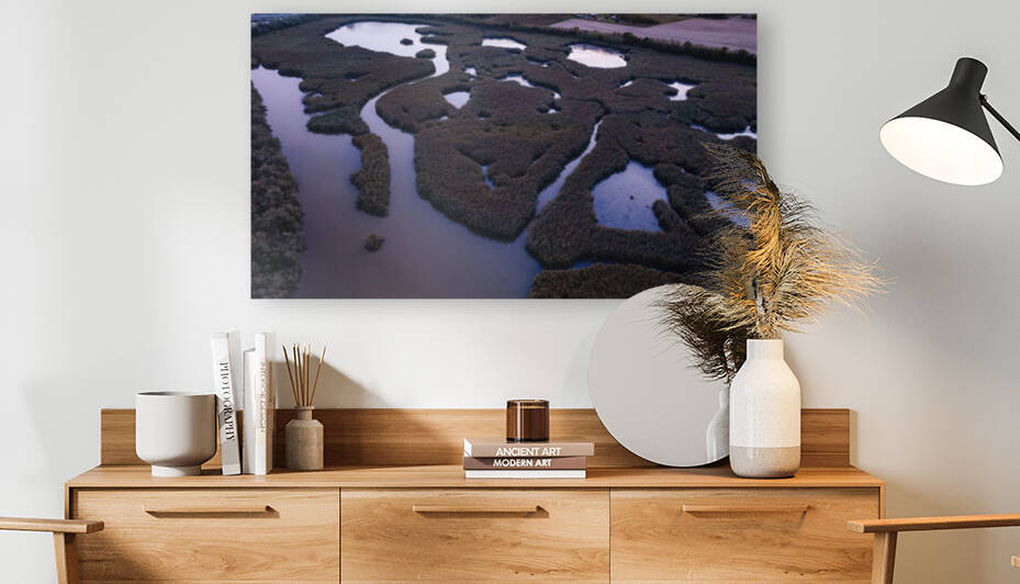 Marsh patterns Reproduction