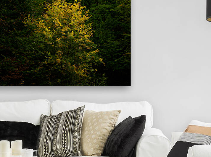 Yellow Touch Reproduction