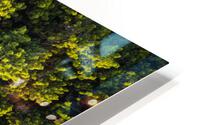 Greens HD Metal print