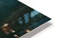 Rainy woods HD Metal print