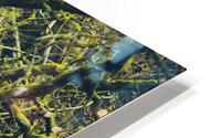 Monster HD Metal print