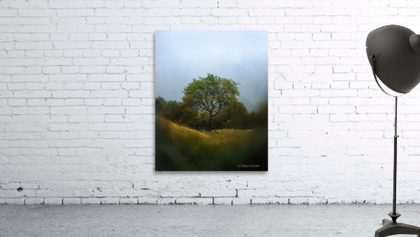 Natural frames Wall Preview