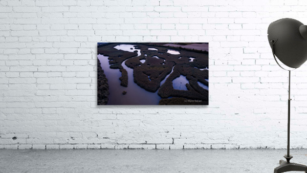 Marsh patterns Wall Preview
