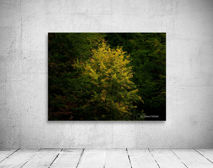 Yellow Touch Wall Preview