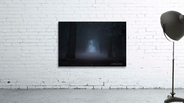 Dark Woods Wall Preview