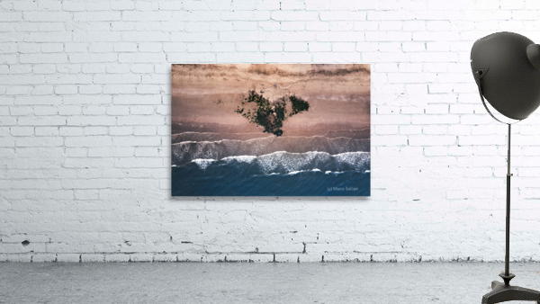 Wild beach Wall Preview