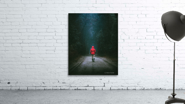 Rainy woods Wall Preview