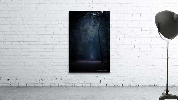 Dark woods Wall Preview