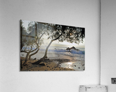 Wild Hawaii Beach Acrylic Print