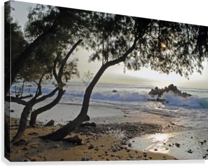 Wild Hawaii Beach Canvas Print