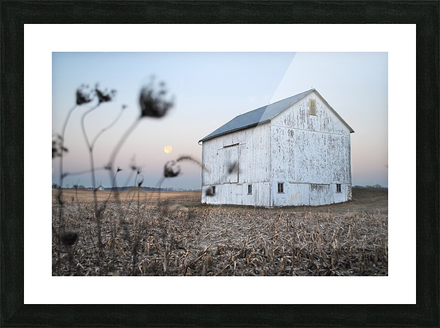 The Old Barn Picture Frame print