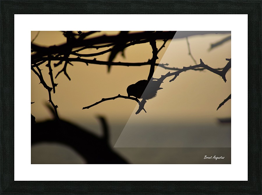 Branch Picture Frame print