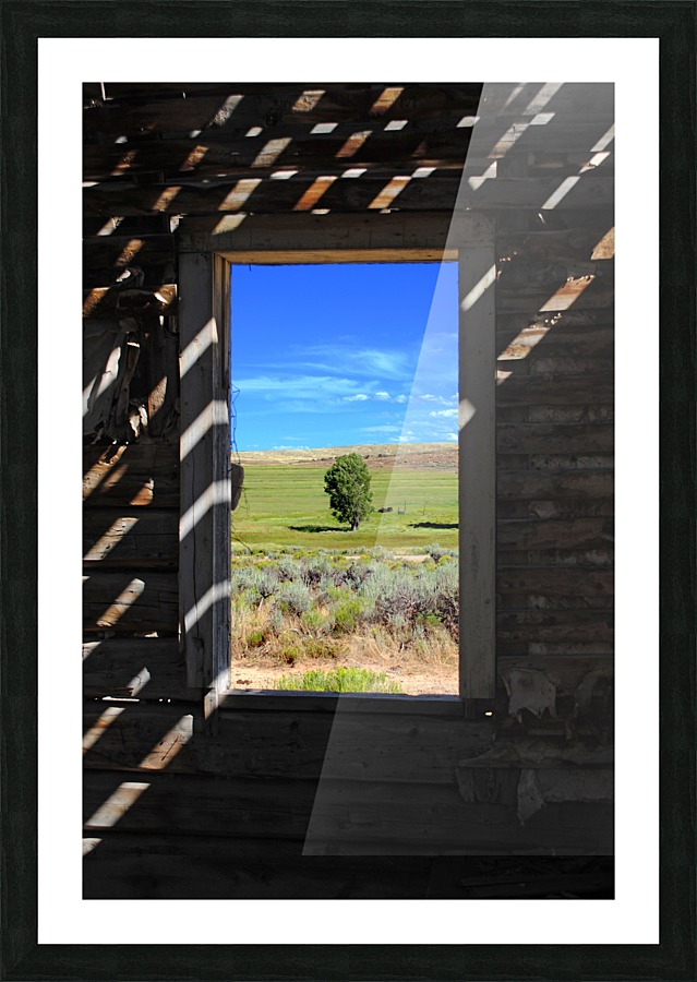 Wild Frontier Picture Frame print