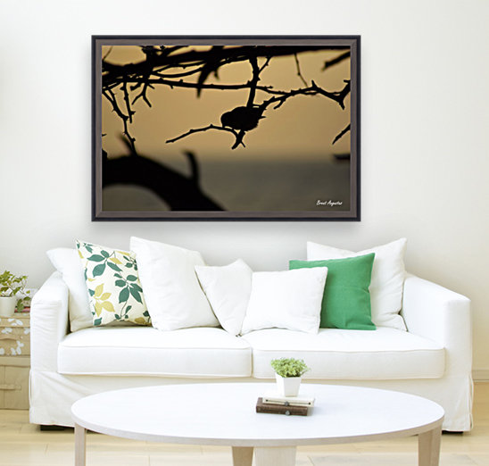 Branch Reproduction