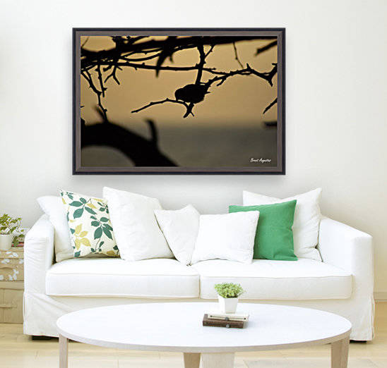 Branch Reproduction