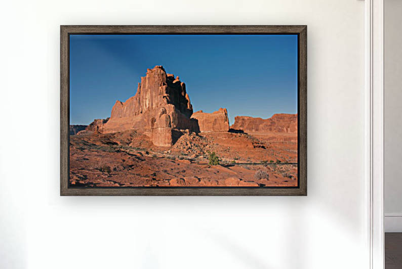 Desert Scape Reproduction