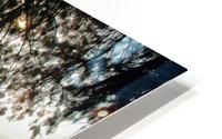 Wild Hawaii Beach HD Metal print