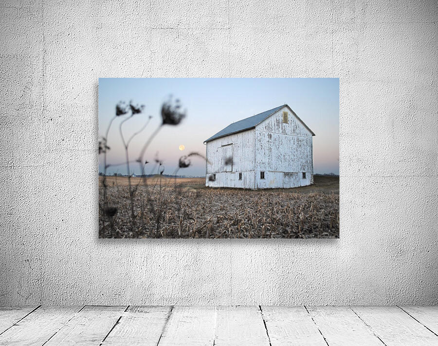The Old Barn Wall Preview
