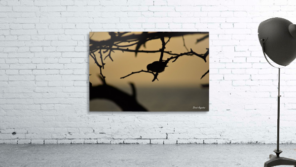 Branch Wall Preview