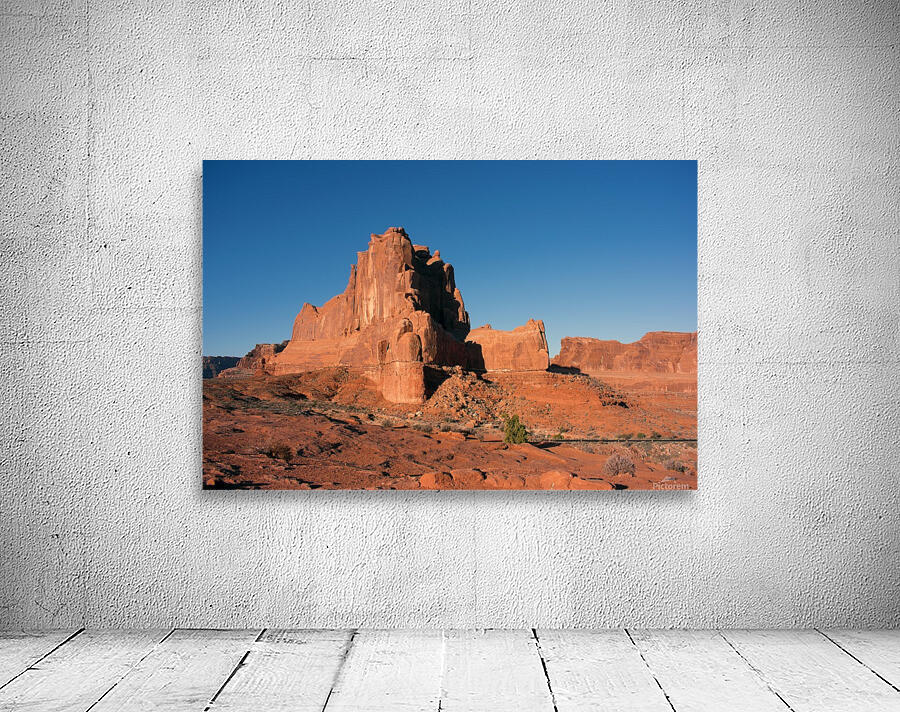 Desert Scape Wall Preview