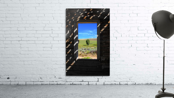 Wild Frontier Wall Preview
