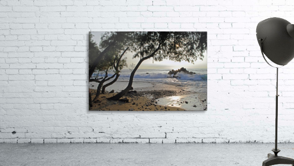 Wild Hawaii Beach Wall Preview