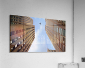 ELEVATE  Acrylic Print