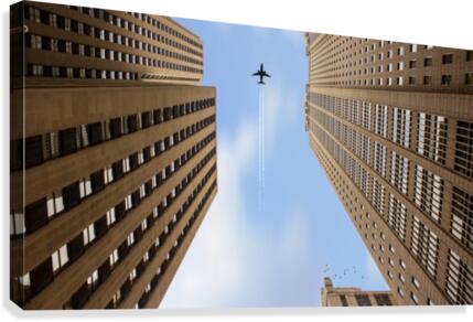 ELEVATE  Canvas Print