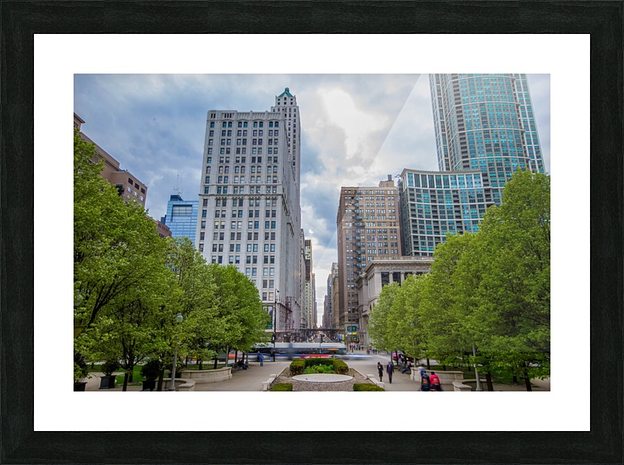 Chicago rush Picture Frame print