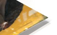 PASSION HD Metal print