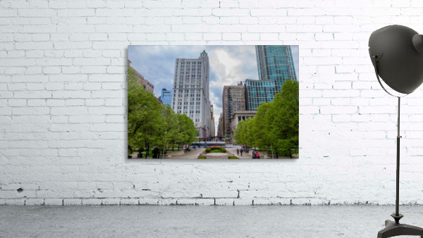 Chicago rush Wall Preview
