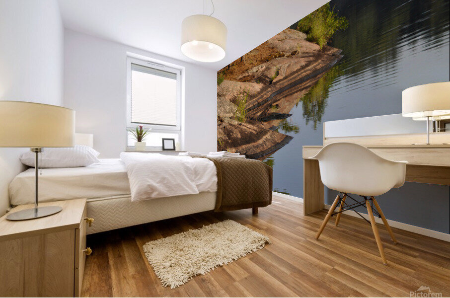 Early Morning Reflection Mural print