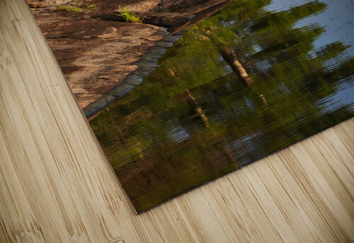 Early Morning Reflection Richard Levine puzzle