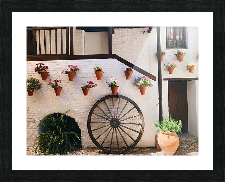 IMG 5223 Picture Frame print