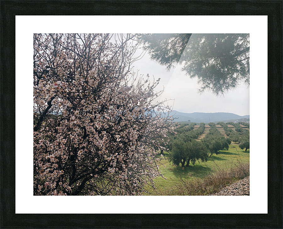 Blossoming Landscape Picture Frame print