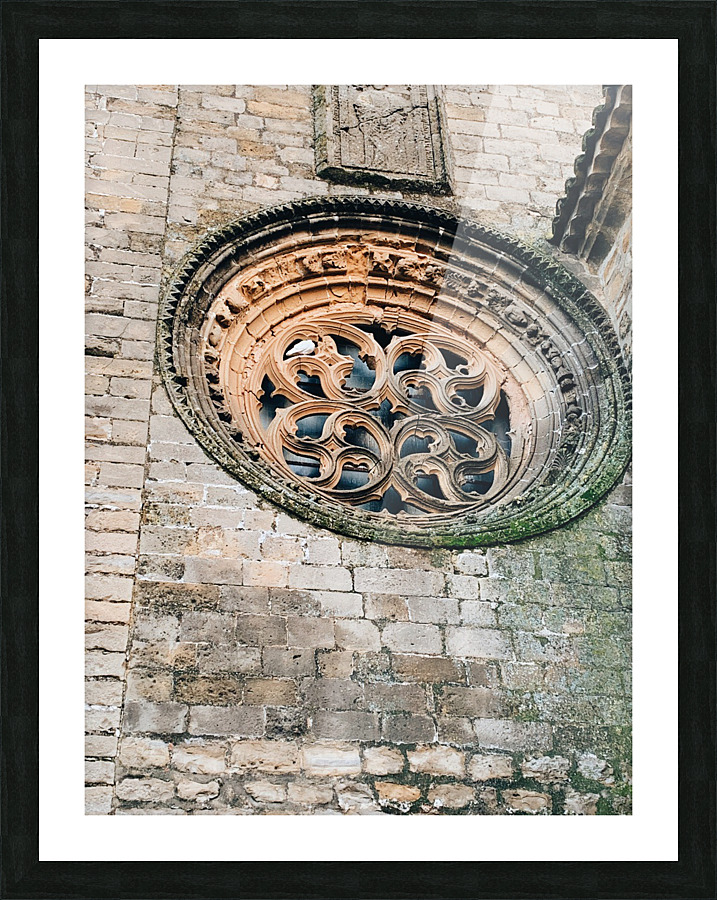 Dove in a Window Picture Frame print