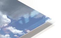 IMG 3450 HD Metal print