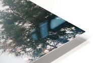 Blossoming Landscape HD Metal print
