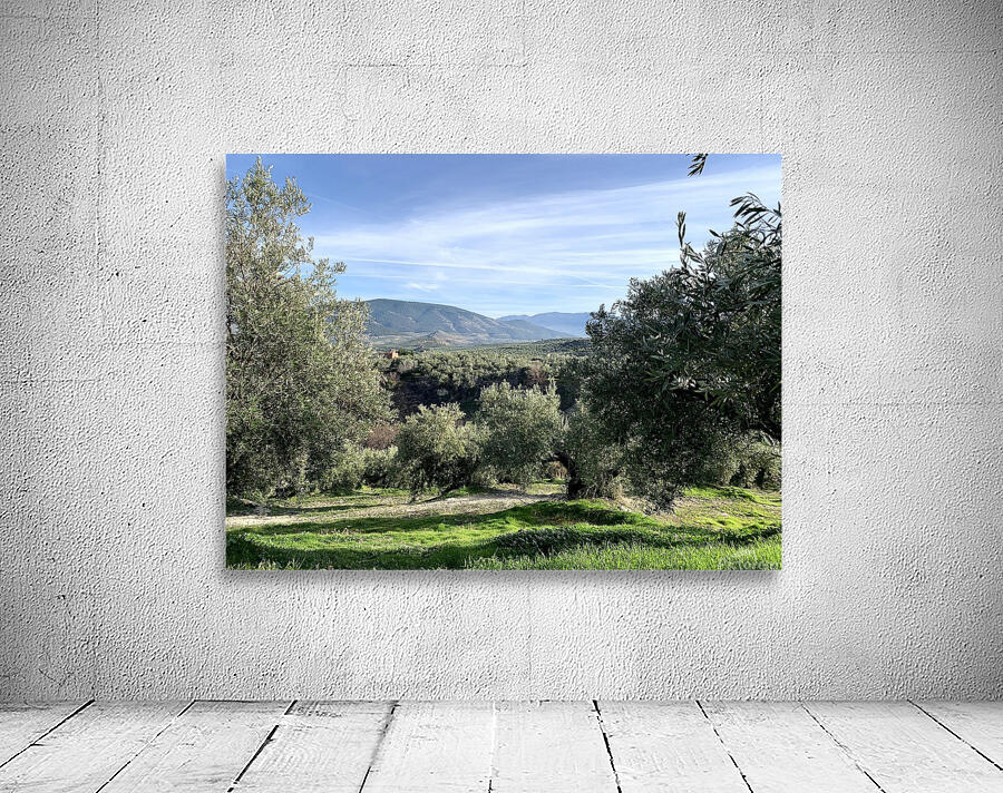Olive Grove Wall Preview
