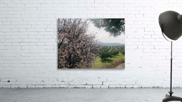 Blossoming Landscape Wall Preview