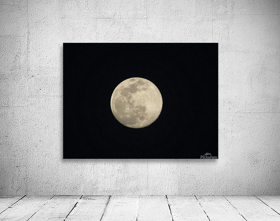 Full Moon Wall Preview