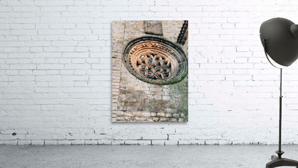 Dove in a Window Wall Preview