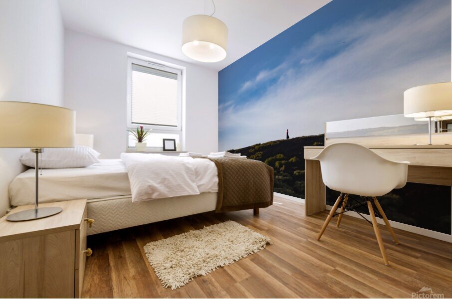 Seule au sommet Mural print